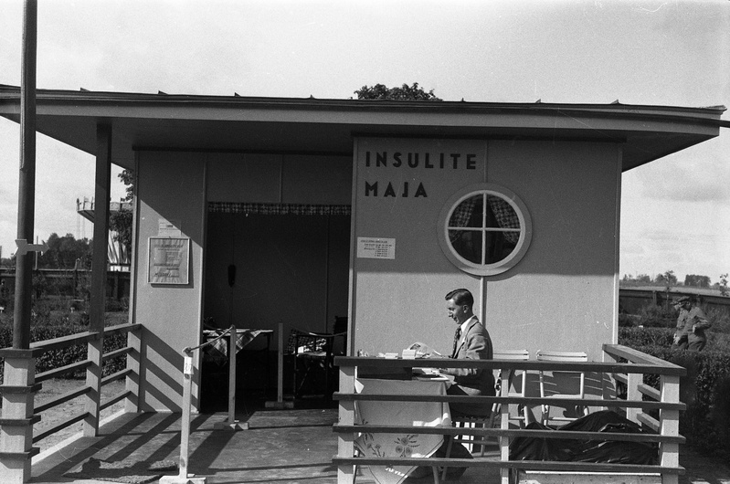 Insulite maja