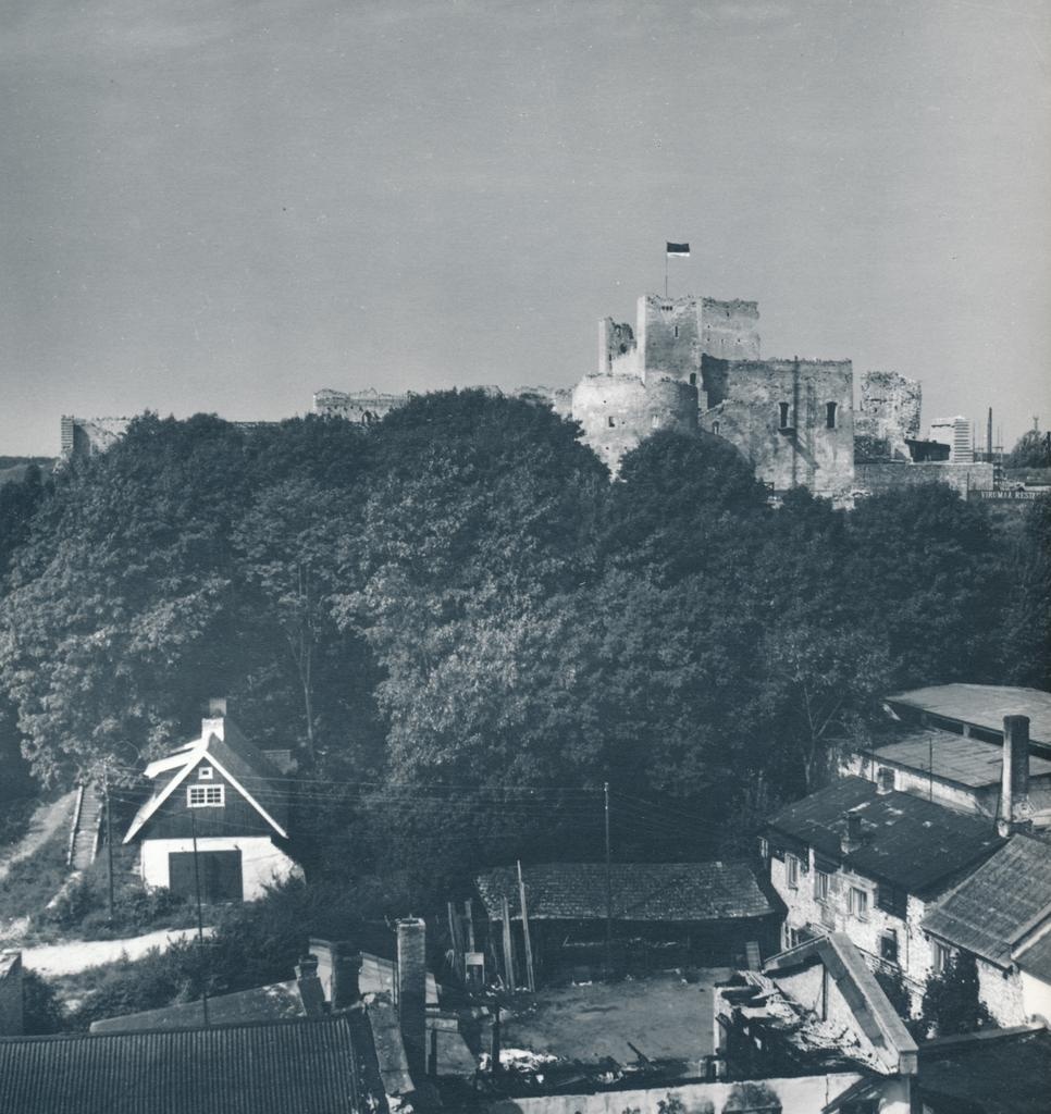 Rakvere, view of Vallimäele church tower