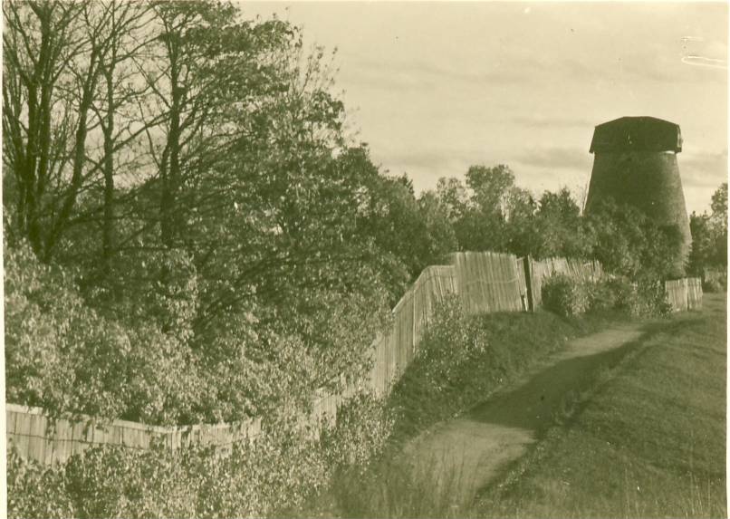 Rakvere, Vallimägi, tea to the mill