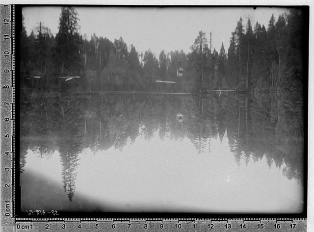 Palmse Manor puiestee and lake