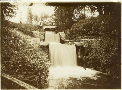Palmse Park  duplicate photo