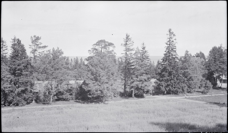 Sillamäe