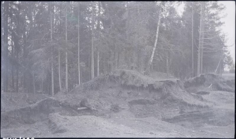 Mets Sinimägedel.