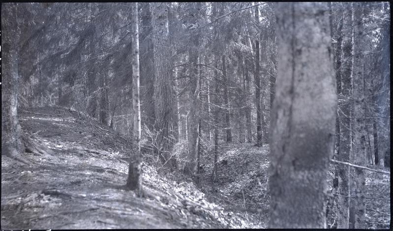 Mets Sinimägedel.