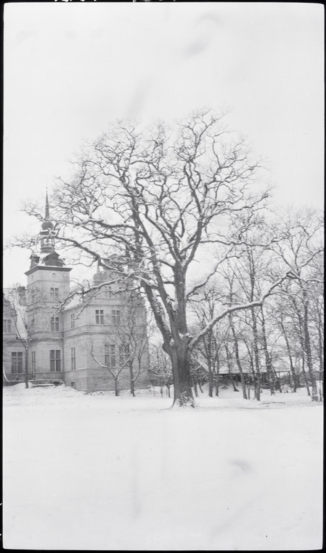 Lindeni loss Haapsalu lähedal.