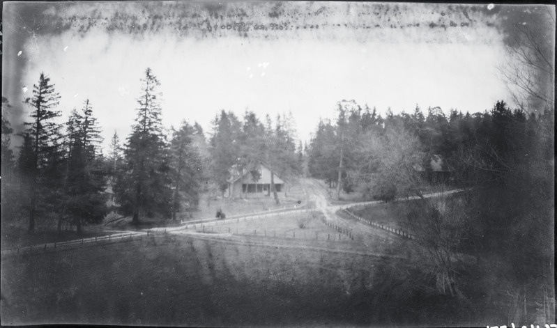 Sillamäe, suvilad rannametsas.