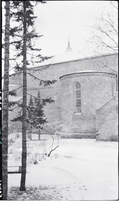 Lossivaremed, "Valge Daam"