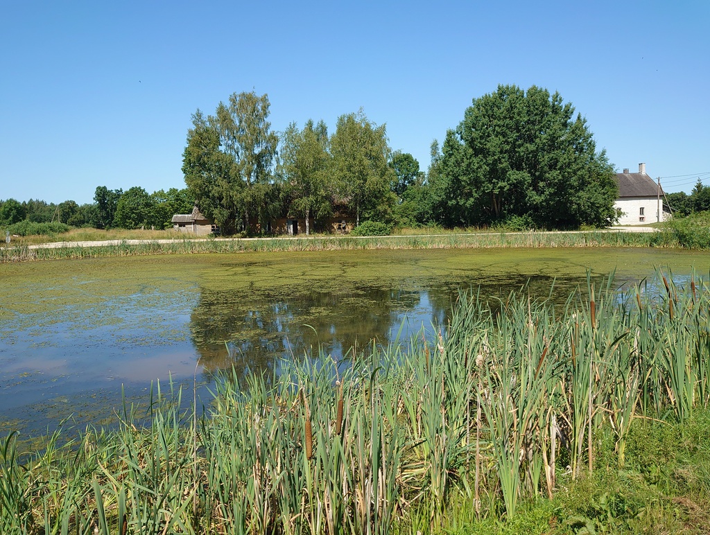 Lasila Tink rephoto