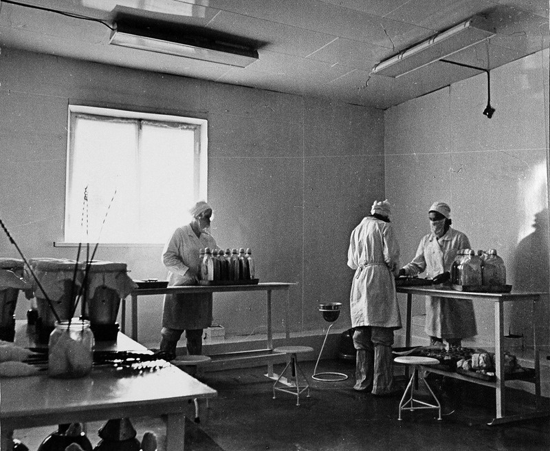 Haljala kolhoosi biotsehhis