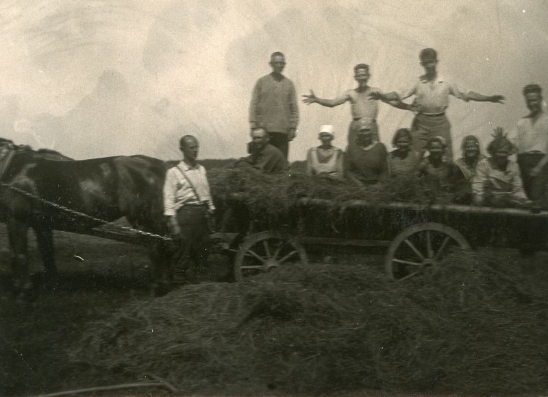 Vankriga põllult heina ära vedamas