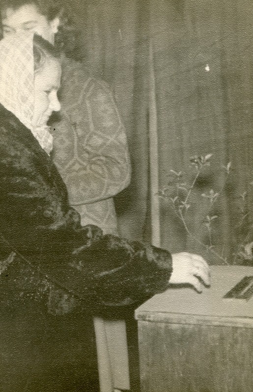 Irene Vetka-Vihm valimiskasti juures