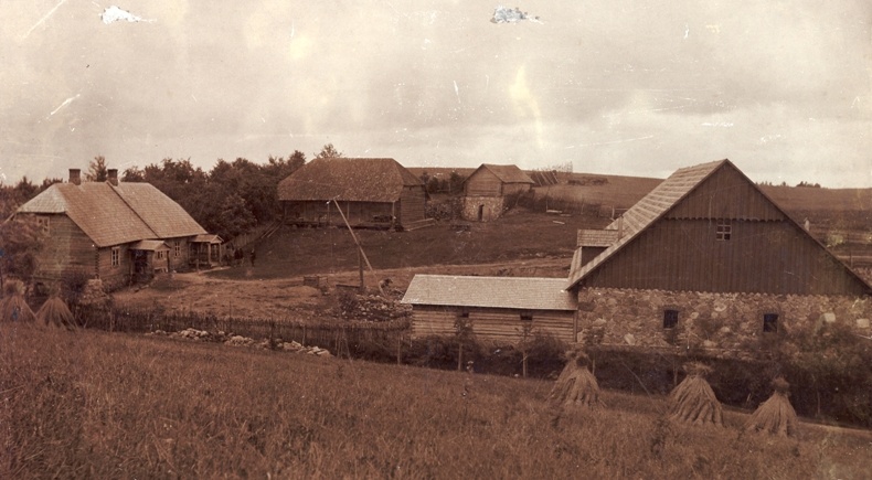 This is the farm