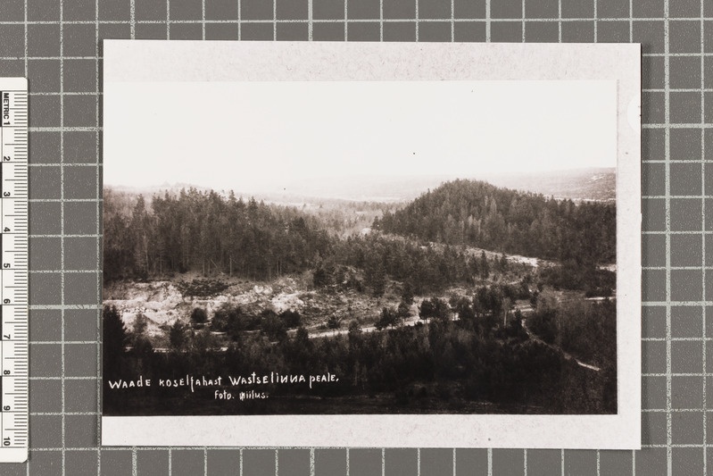 Vaade Koseljahast Vastseliina peale