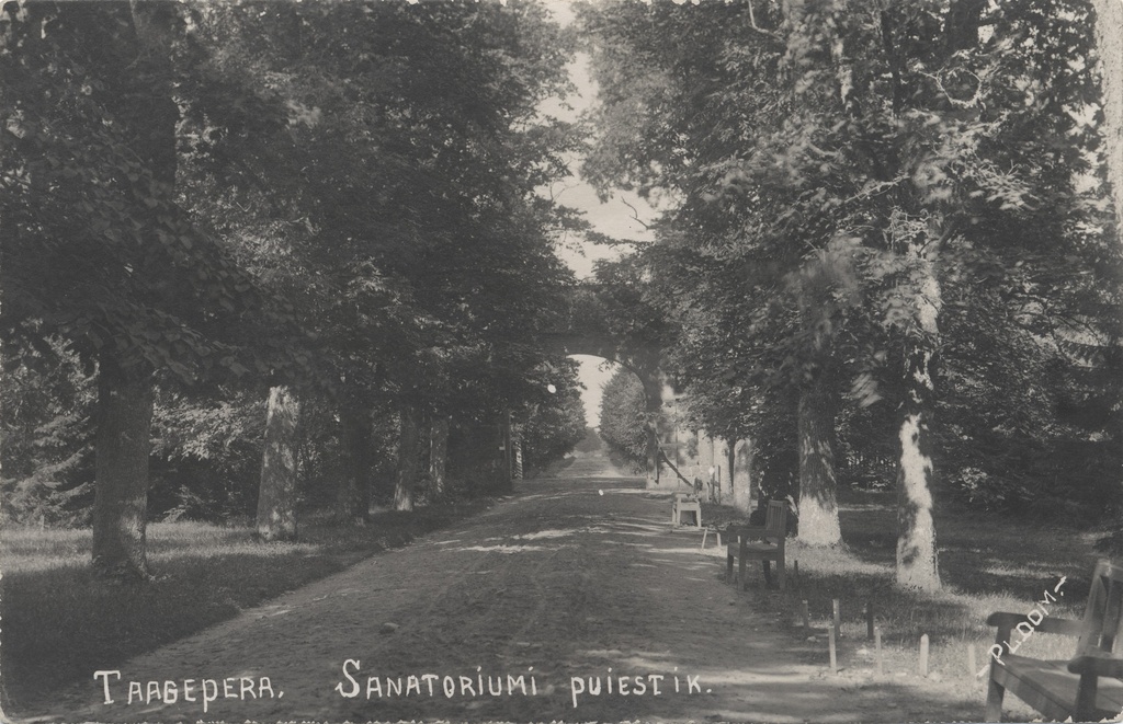 Taagepera sanatorium boyfriend