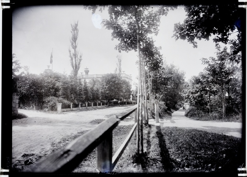 Vaade puiesteele - tee mudaravila "Roomassaar" juurde.