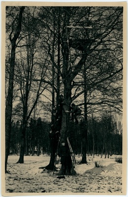Grupp sõjaväelasi puu otsa ehitatud vaatlusplatvormil  duplicate photo