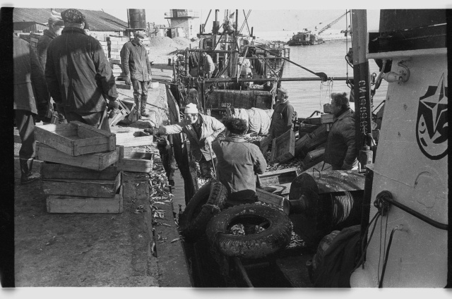 Viru Rand fishermen with rough catch in Toila Harbour