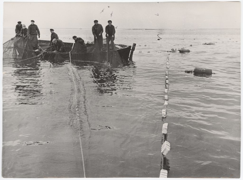 Fishermen of Cirov's Colhose in the sea