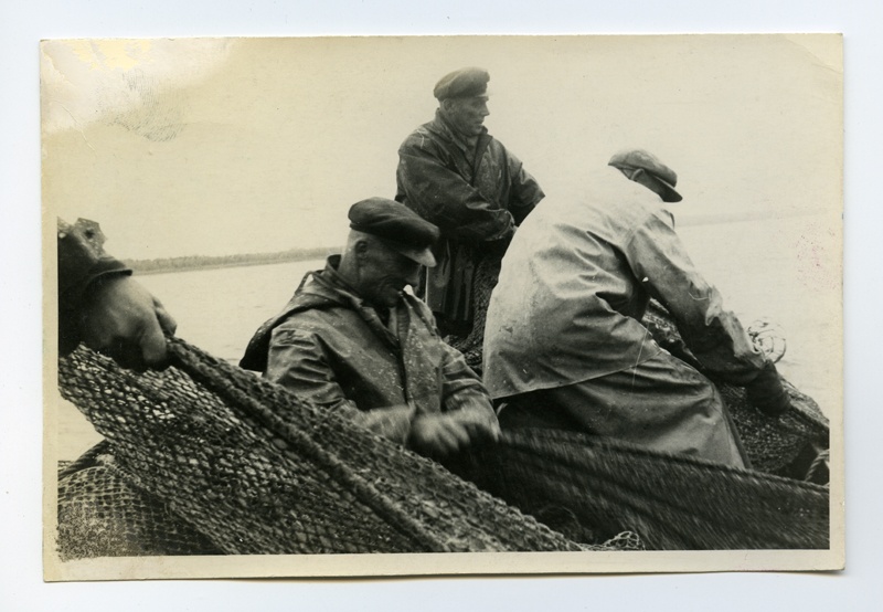 The fishermen of the I brigade of the "Insel Fishery" Colhose by withdrawing from the sea