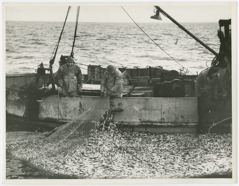 Etkvl Pärnu Kalamajandi fishermen in trawling in the Gulf of Riga