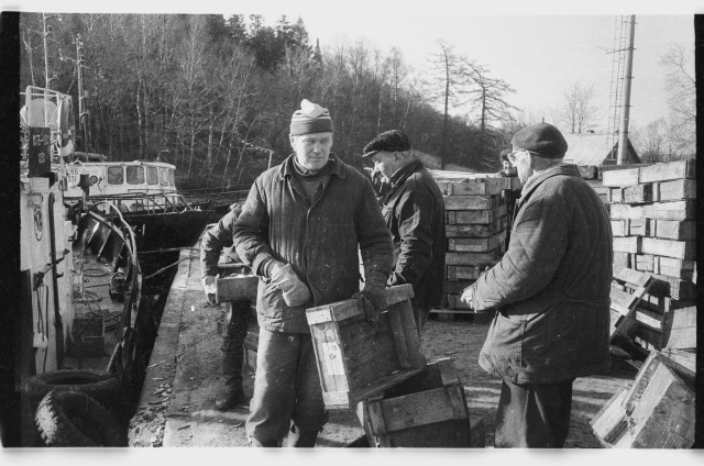 Viru Rand fishermen at the port of Toila