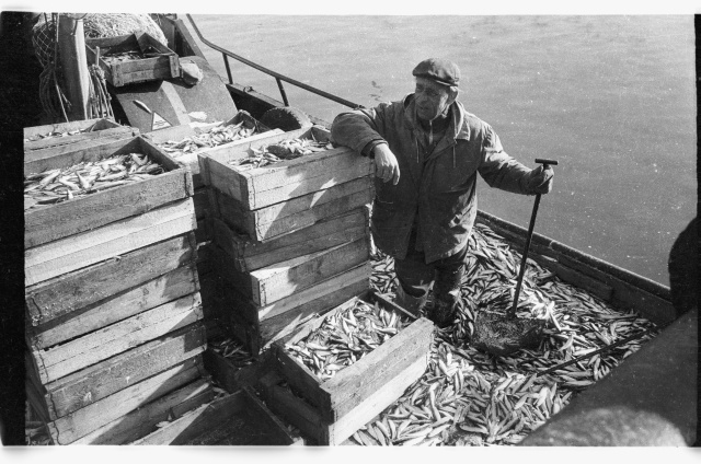 Viru Rand fishermen with rough catch in Toila Harbour