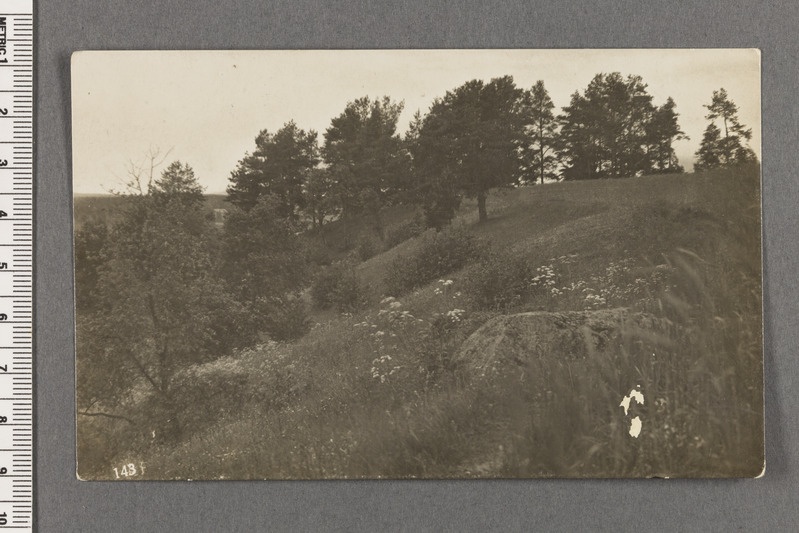 Maastikufoto. Saadetud postkaardina, tagaküljel tekst neiule ja Scout pataljoni tempel.
