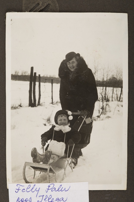 Felly Palu koos Illega