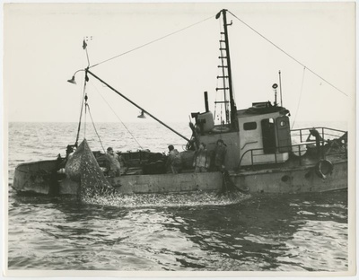 Etkvl Pärnu Kalamajandi fishermen in trawling in the Gulf of Riga.  duplicate photo