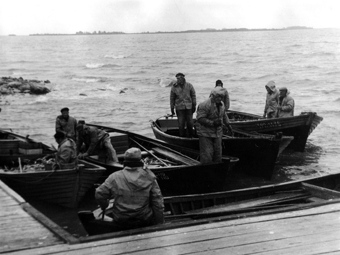 Fishermen with boats in Salinõmme port