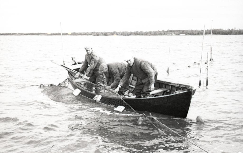 North Coast Coloss fishermen in the sea to repair the bristle