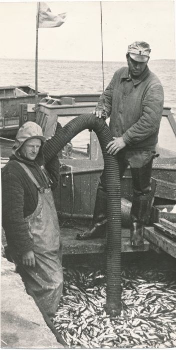Photo. The fishermen of the island of Vorms Haapsalu handed over the fish in 1972.