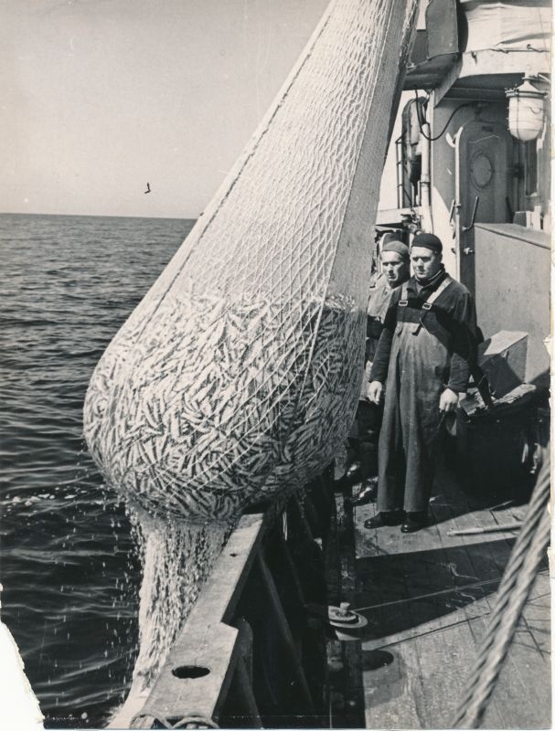 Photo. The fishermen of the "Hiiu Kaluri" collhose lift the trawl.
