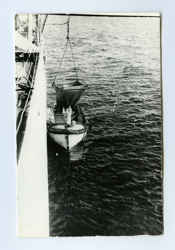 Fishermen in the Japanese sea : transfer of fish to a reception vessel