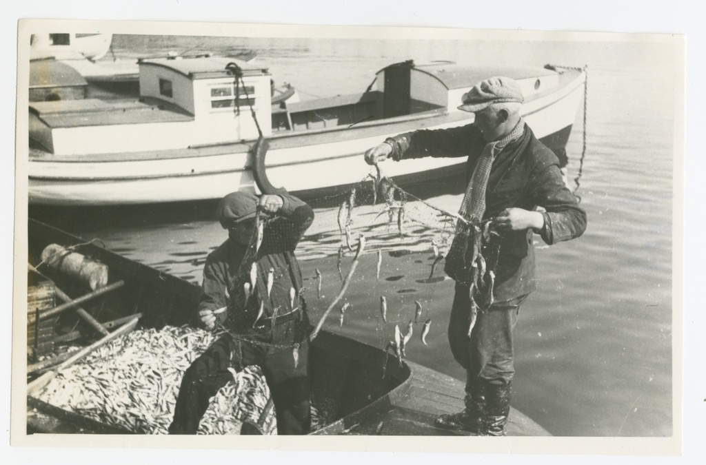 Fishermen in the harbour taking from the grid