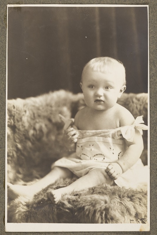 Foto Friedrich Landti albumis