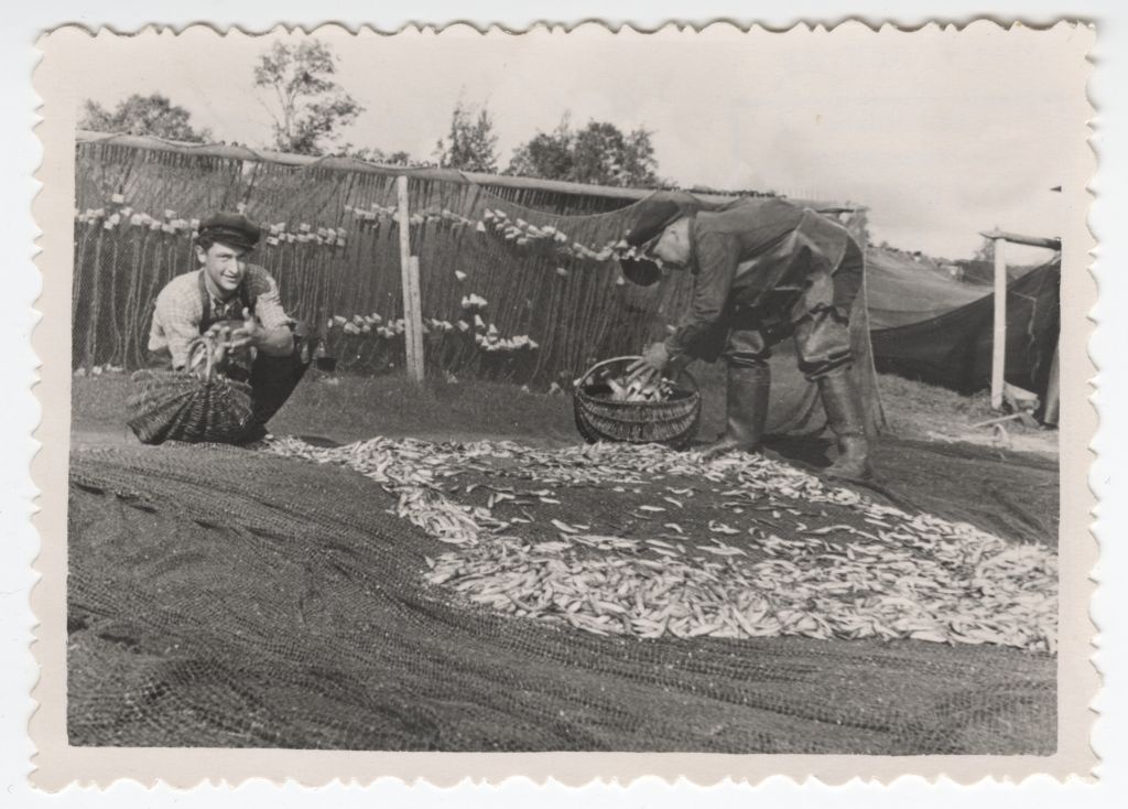 Wooden fishermen in Saaremaa Anseküla beach during migration