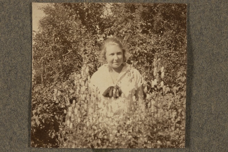 Foto Friedrich Landti albumis