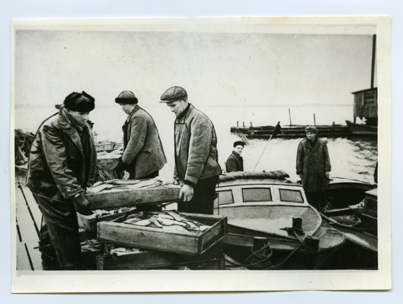 The fishermen of the collois "Majak" V. Morozov, I. Sumov and I. Sahnitski raise fish sauces