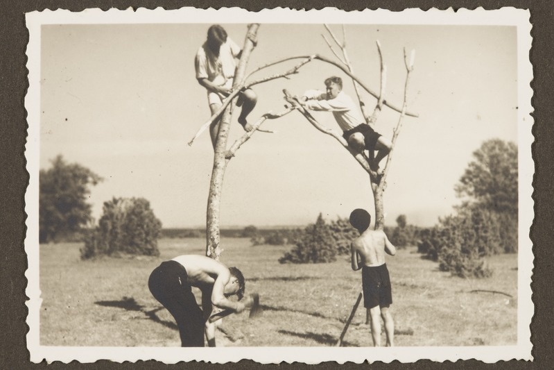 Esimene Tallinna noorkotkaste maleva laager