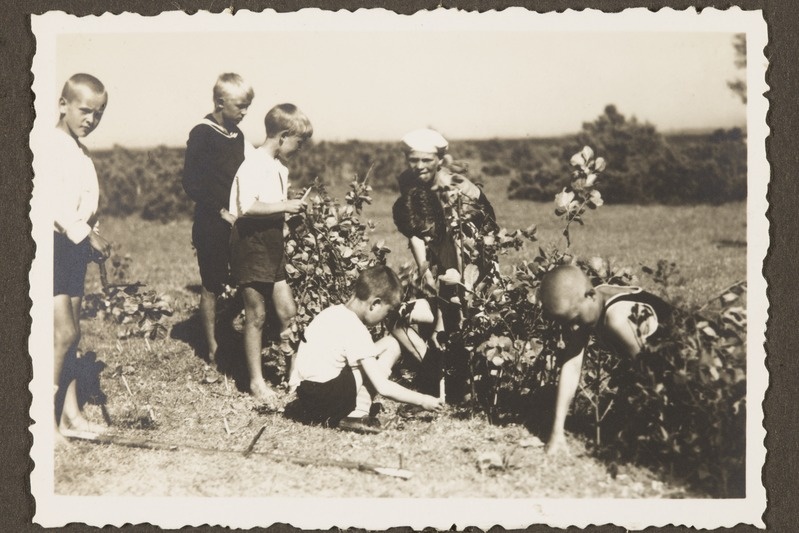 Esimene Tallinna noorkotkaste maleva laager