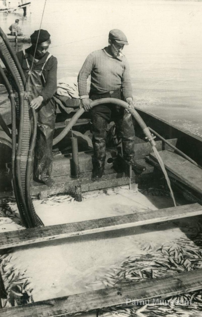 Photo, H.Rannau 1957, fishermen of the "Kommunismi Lipp" fishermen give up the gravel loading in Pärnu Liiva fish at the reception point.