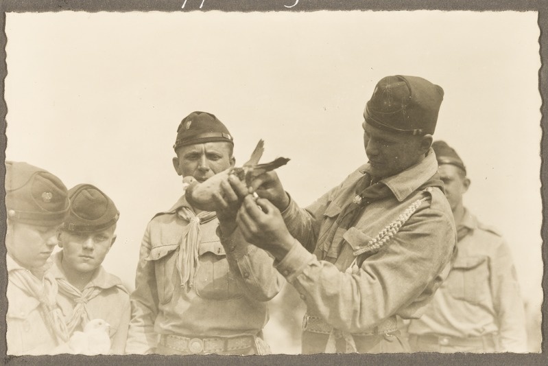 Noorkotkaste ülemaaline õppelaager Viimsis