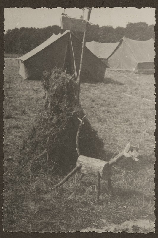 Noorkotkaste ülemaaline õppelaager Viimsis