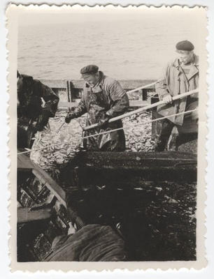 Wooden fishermen at sea lifting the fish boat  duplicate photo