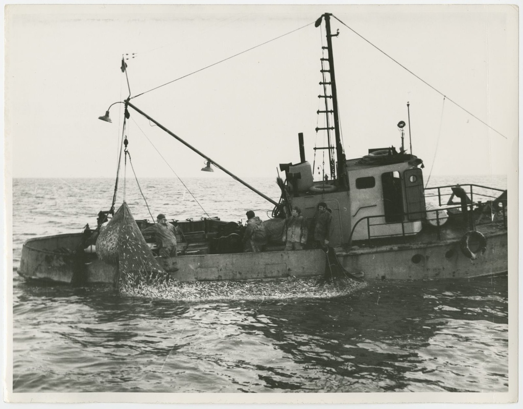Fishermen at sea : Nature winning on board (more than 1st captain Jaan Pesti)