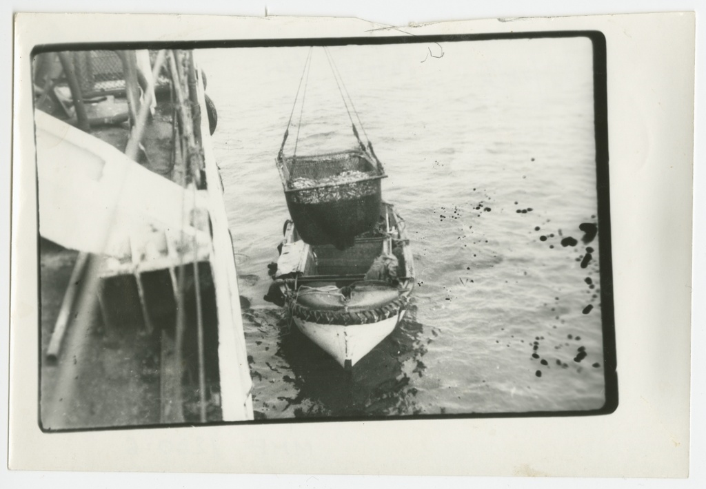 Fishermen of the "Noor Mir" fishing in the Japanese sea : raising fish on the ship