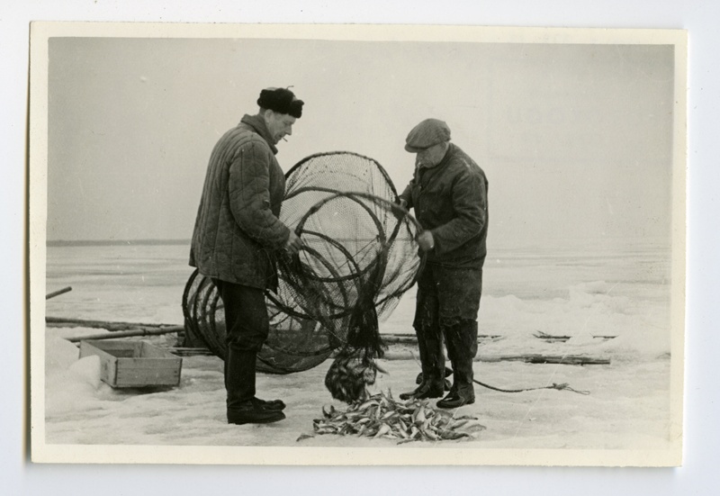 Fishermen of collhose named Admiral Nahhimov in winter fence