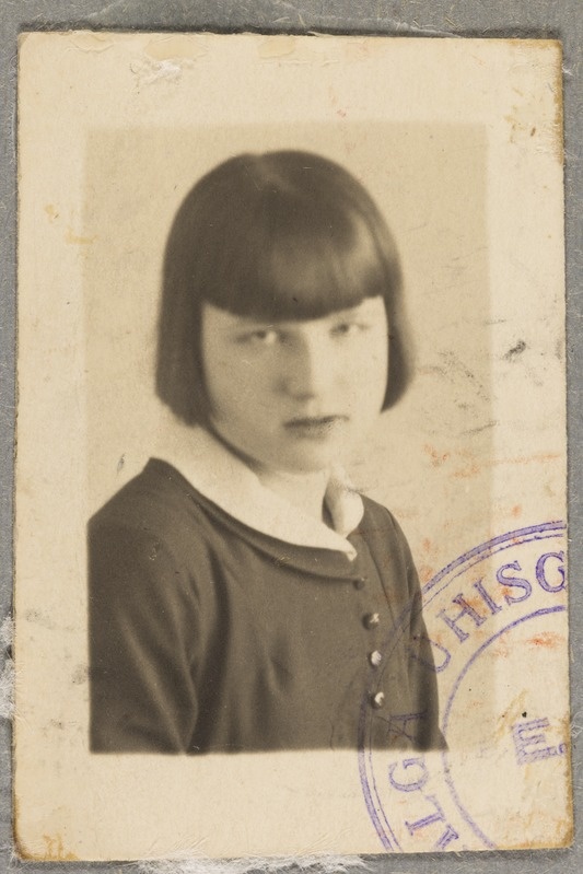 Valga ühisgümnaasiumi õpilase portree