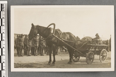 5. Jalaväerügement Rakveres  duplicate photo